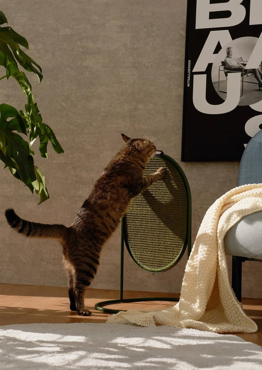 Krabbelaar - Mijn winkel