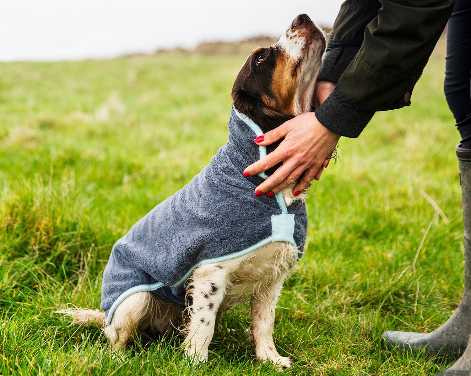 DryBuddy - Mijn winkel