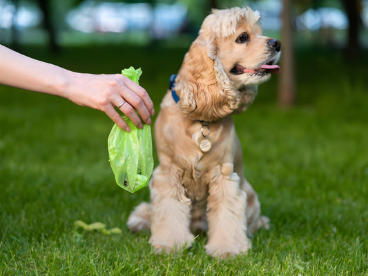 EcoPaws Bags - Dierenjoy