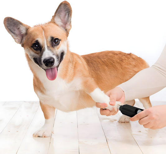 PawTrim Pro - Dierenjoy